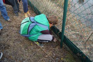 Primer spoznavanja sobivanja